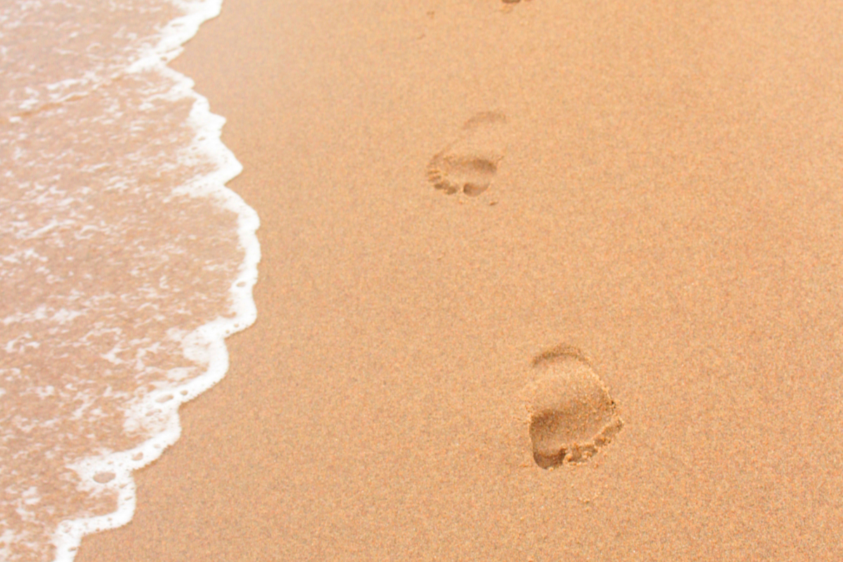 Why Your Nonprofit Needs a Strong Digital Footprint